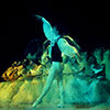 Balet Nacional de Cuba. Arte digital	