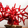 Corallo Rosso Serie Océano.  Cerámica esmaltada.  40x30x30	
